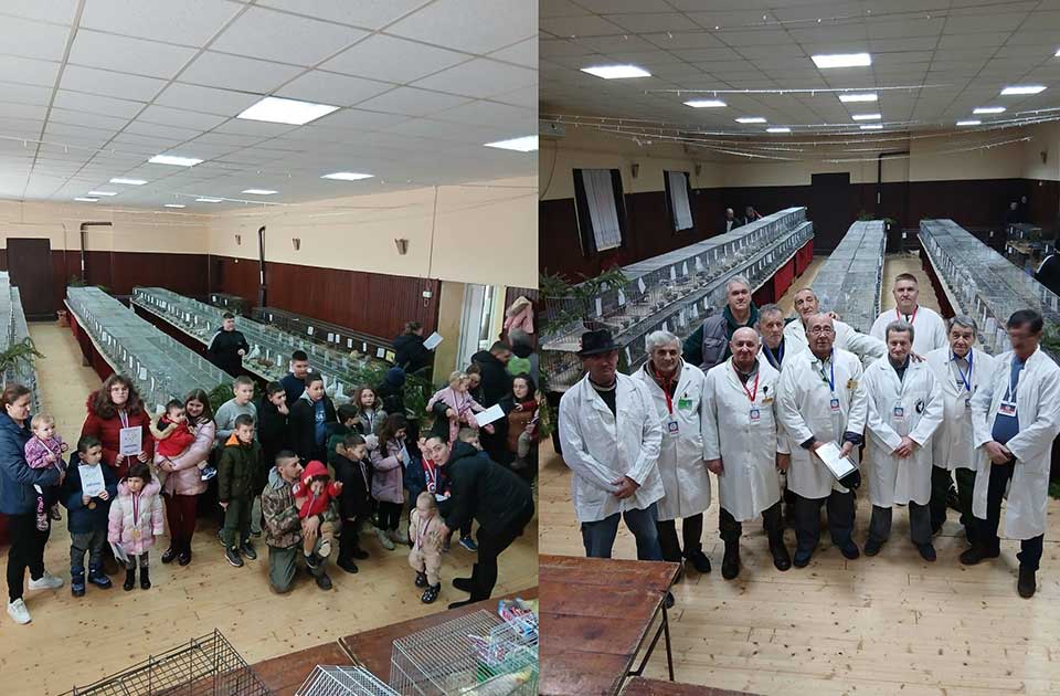 izložba sitnih životinja u mihajlovu