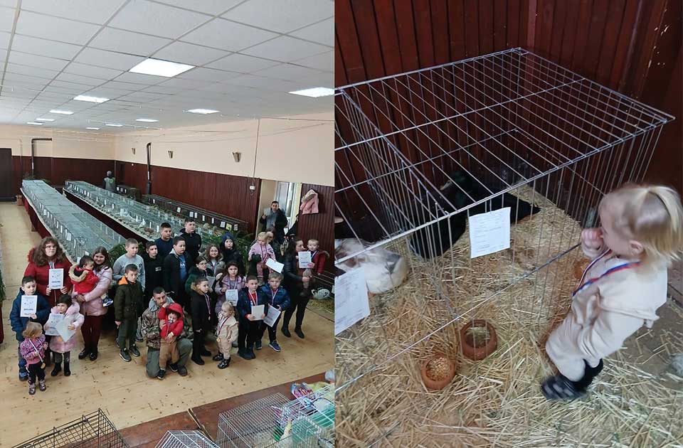 FOTO: Ovogodišnjoj izložbi sitnih životinja u Mihajlovu najviše su se obradovali najmlađi