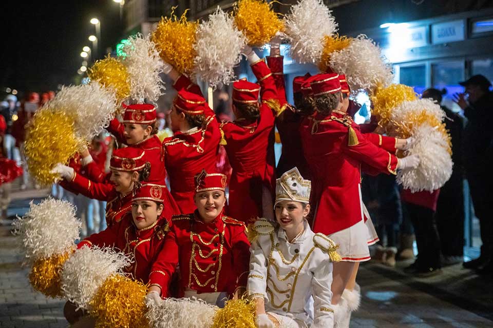 praznik mimoze herceg novi