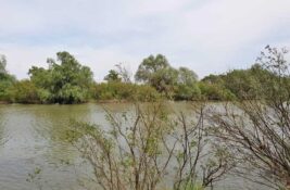 Izdato upozorenje – spominje se Tamiš kod Jaše Tomića