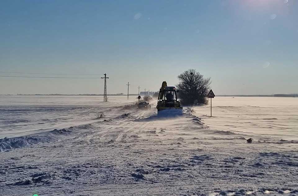 Nataša Velemir (NPS): Pustoš pored puteva – nestali vetrozaštitni pojasevi