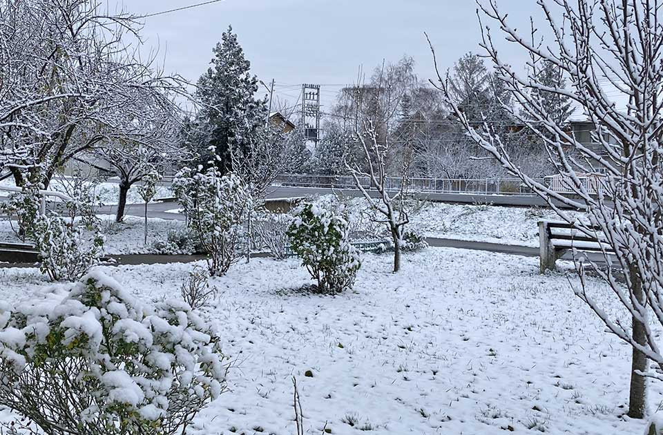 Vozači, ako krećete na put – ovo obavezno treba da znate Vozači, ako krećete na put – ovo obavezno treba da znate