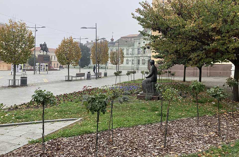 trg slobode zrenjanin