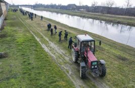 Počela godišnja akcija pošumljavanja – na redu Zrenjanin, Sečanj, Novi Bečej…