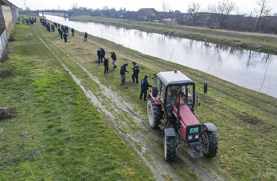 Počela godišnja akcija pošumljavanja – na redu Zrenjanin, Sečanj, Novi Bečej…