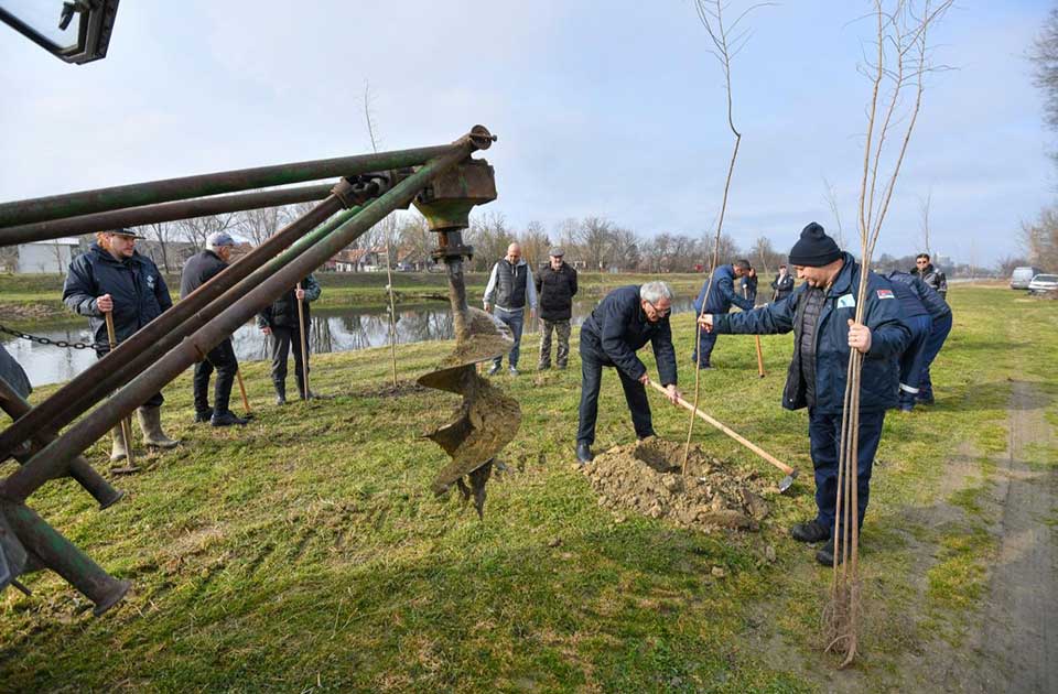akcija pošumljavanja