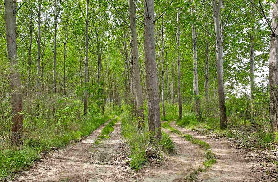 Na uvidu važan dokument: U vezi je sa područjem posebne namene i tiče se Zrenjanina i Sečnja