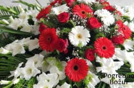 Zašto je važna profesionalna podrška u trenucima kada je najteže