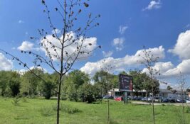 Prilika za srednjoškolce iz Zrenjanina! Caritas Srbije traži ekološke heroje – prijave u toku