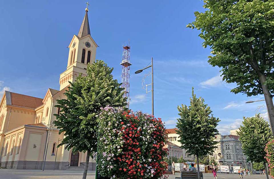 Mak, slikanje na trsci, muzika i film: Zrenjanin planira potpuno nove festivale po selima