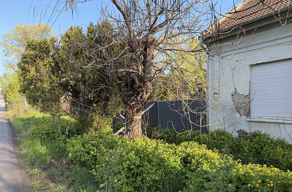 gradilište u maloj americi