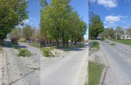 Neočekivana prepreka: Vozači zaobilaze granje na kolovozu