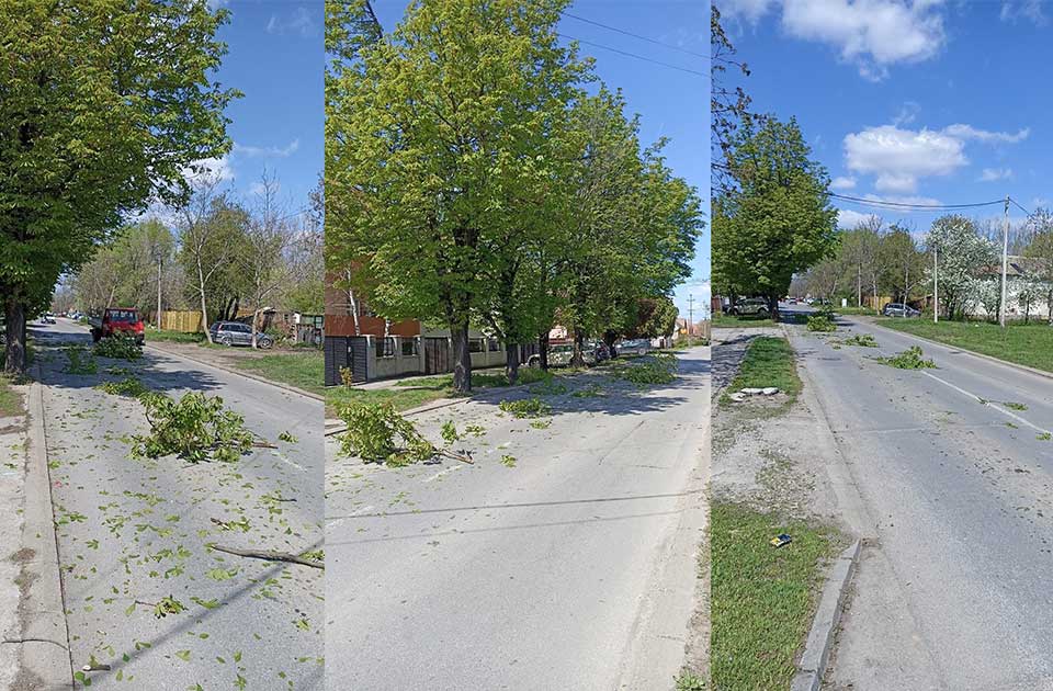 Neočekivana prepreka: Vozači zaobilaze granje na kolovozu Neočekivana prepreka: Vozači zaobilaze granje na kolovozu