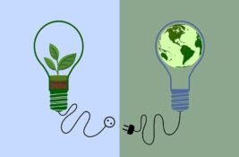 Zelena energija u praksi: Šta je realno primenljivo u Zrenjaninu?