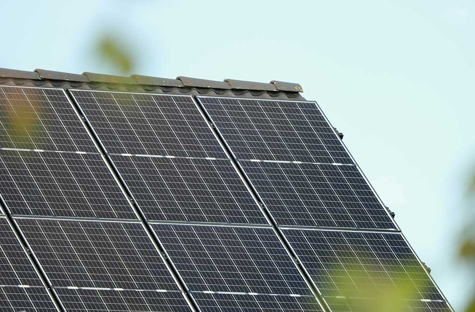 Nova solarna elektrana nadomak Zrenjanina: Projekat firme iz Beograda na javnom uvidu