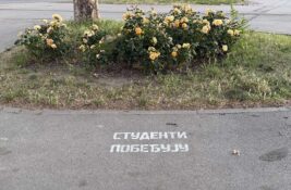 Predizborna kampanja bez izbora: Zrenjanin već mesecima živi političku mobilizaciju