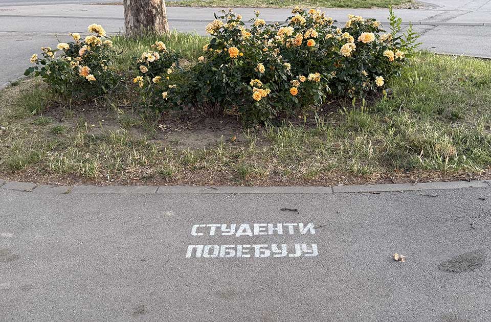 Predizborna kampanja bez izbora: Zrenjanin već mesecima živi političku mobilizaciju