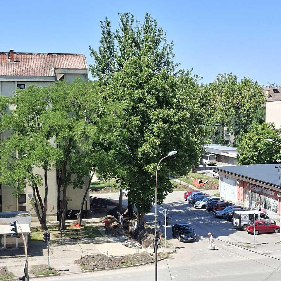 naselje ruža šulman