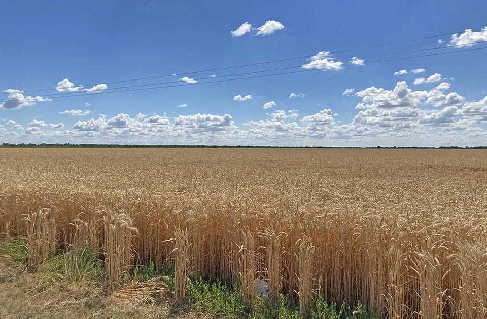„Srpski seljak skuplja mrvice“: Odbornik Đurin kritikovao agrarnu politiku države
