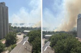VIDEO: Gori kod Mužljanskog mosta, vatrogasci gase požar