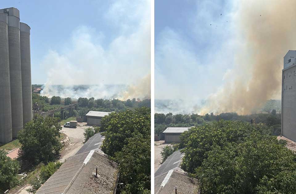 VIDEO: Gori kod Mužljanskog mosta, vatrogasci gase požar