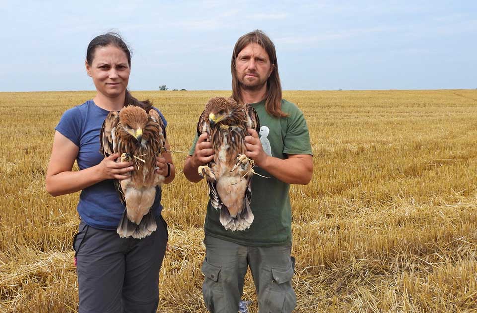 Upoznajte mlade orlove krstaše: Sečanj i Žitište dobili nove „čuvare neba“ Upoznajte mlade orlove krstaše: Sečanj i Žitište dobili nove „čuvare neba“