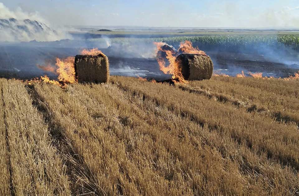 Alarmantni podaci iz Zrenjanina: Za šest meseci evidentirano čak 248 požara na otvorenom Alarmantni podaci iz Zrenjanina: Za šest meseci evidentirano čak 248 požara na otvorenom
