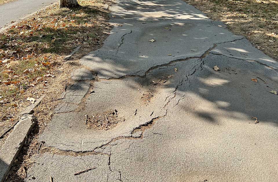 pešačke staze uz glavnu gradsku magistralu