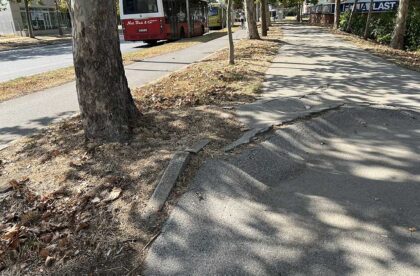 pešačke staze uz glavnu gradsku magistralu