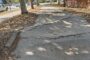 Staze uz magistralu propadaju više od dve decenije: Stručnjak otkriva gde je napravljena greška