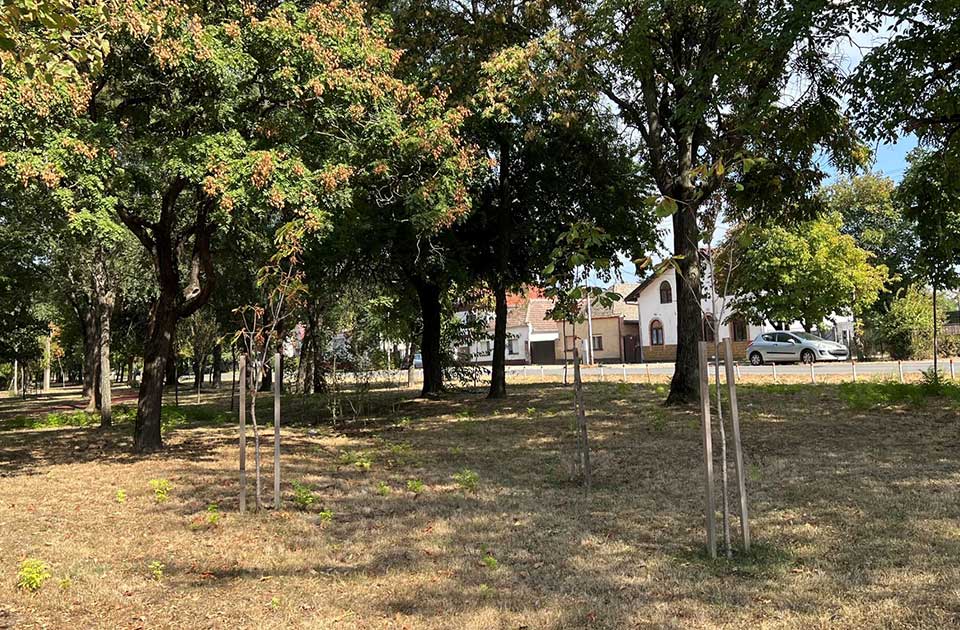 karađorđev park