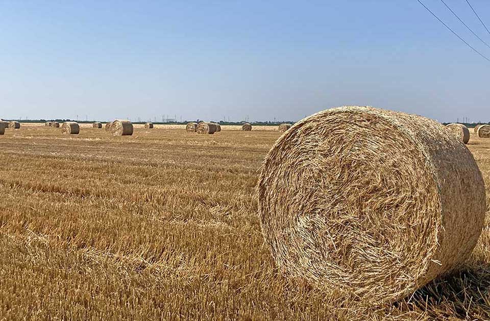 Samo jedan okrug u Vojvodini imao je jeftinije njive od Srednjeg Banata Samo jedan okrug u Vojvodini imao je jeftinije njive od Srednjeg Banata