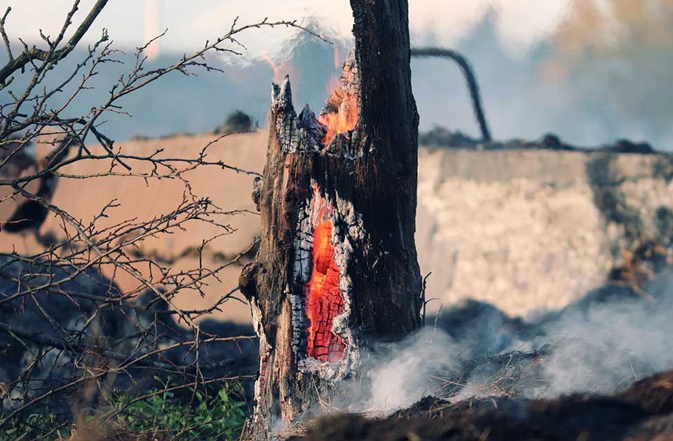 Usred požara u Deliblatskoj peščari promenjen zakon: Opožarena šuma može dobiti drugu namenu Usred požara u Deliblatskoj peščari promenjen zakon: Opožarena šuma može dobiti drugu namenu