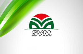 Marton pozvao SVM na konkretan potez: „Raskinite savez sa naprednjacima i radikalima“